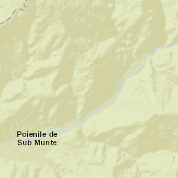 Comuna Poienile de sub Munte Street Map