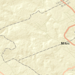 Brăeşti Street Map