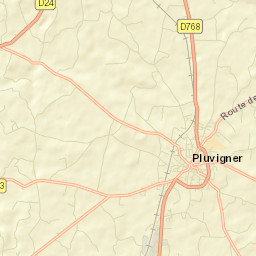 Pluvigner Street Map