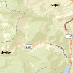 Ebenau Street Map