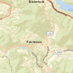 Faistenau Street Map