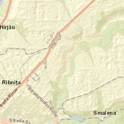 Rîbniţa Street Map