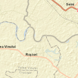 Seini Street Map