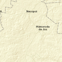 Homorodu de Jos Street Map