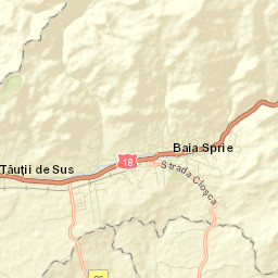Baia Sprie Street Map