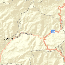 Cavnic Street Map