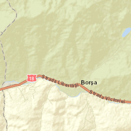 Borşa Street Map