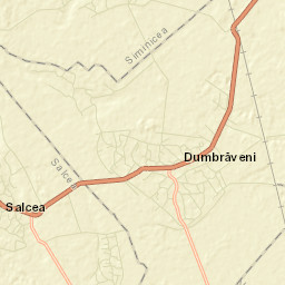 Dumbrăveni Street Map