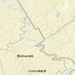 Bursuceni Street Map