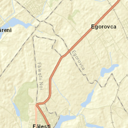 Fălești Street Map