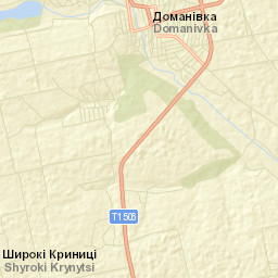 Domanivka Street Map