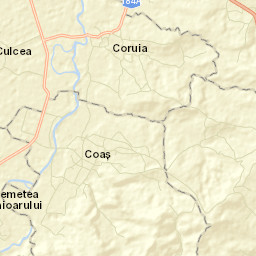 Coaș Street Map