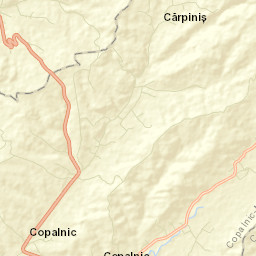 Cărbunari Street Map