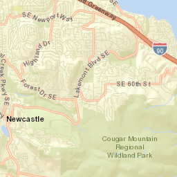 Newcastle Street Map