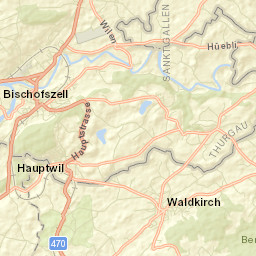 Waldkirch Street Map
