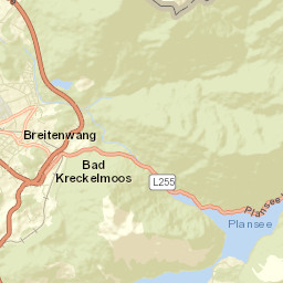 Breitenwang Street Map