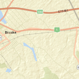 Bicske Street Map