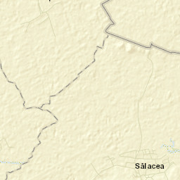 Sălacea Street Map
