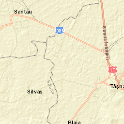 Oraș Tăşnad Street Map