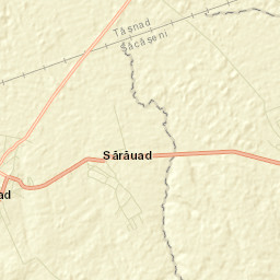 Sărăuad Street Map