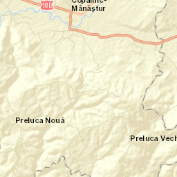 Copalnic Mănăştur Street Map