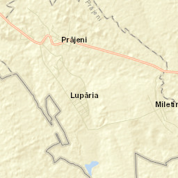 Prăjeni Street Map