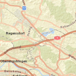 Regensdorf / Feldblumen-Riedthofstrasse Street Map