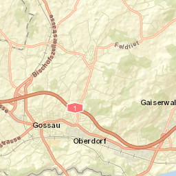 Gossau Street Map