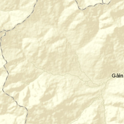 Găinești Street Map