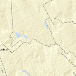 Comuna Coarnele Caprei Street Map