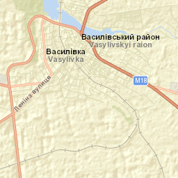 Vasylivka Street Map