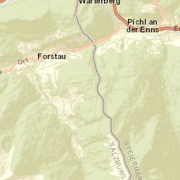 Forstau Street Map
