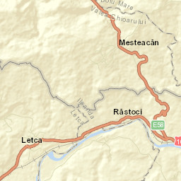 Mesteacăn Street Map