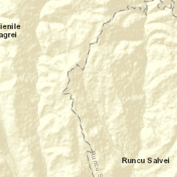 Runcu Salvei Street Map