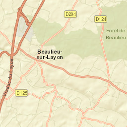 Beaulieu-sur-Layon Street Map