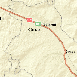 Bocşa Street Map