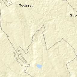 Todireşti Street Map