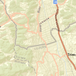 Triengen Street Map