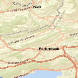 Schmerikon Street Map