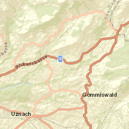 Uznach Street Map