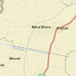 Tămășeu Street Map