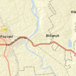 Paşcani Street Map