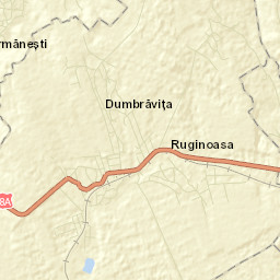 Dumbrăvița Street Map
