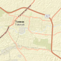 Tokmak Raion Street Map