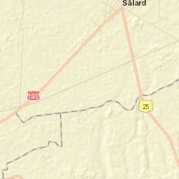 Sălard Street Map