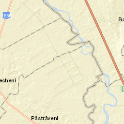 Păstrăveni Street Map