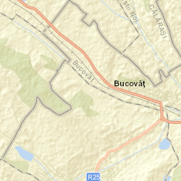 Bucovăţ Street Map