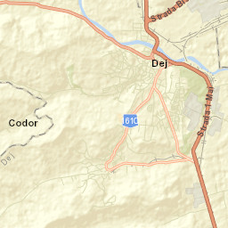 Ocna Dejului Street Map