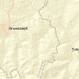 Țolici Street Map
