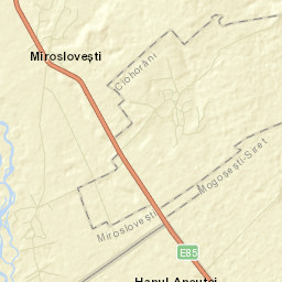 Miroslovești Street Map